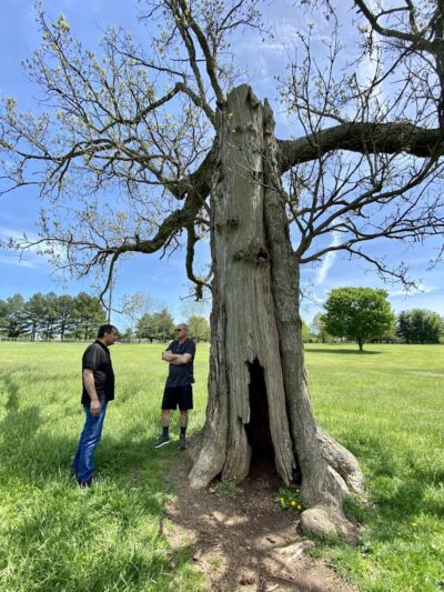 Kirklevington Park - Lexington, KY