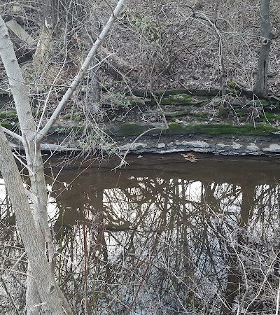 Lansdowne Merrick Park - Lexington, KY