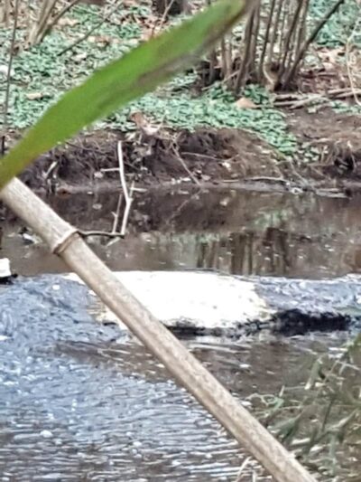 Lansdowne Merrick Park - Lexington, KY