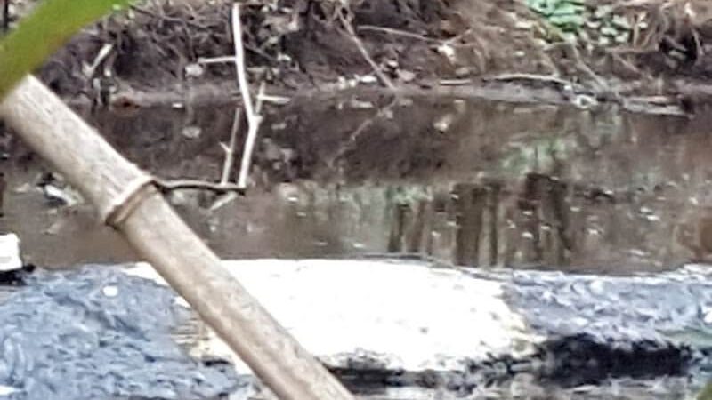 Lansdowne Merrick Park - Lexington, KY