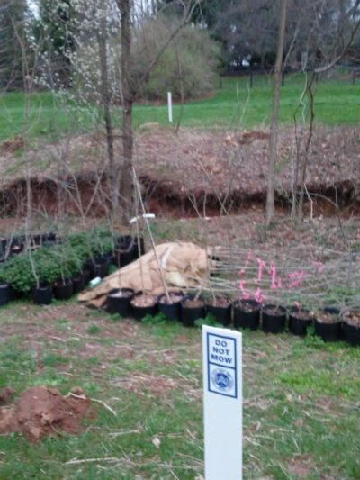 Lansdowne Merrick Park - Lexington, KY