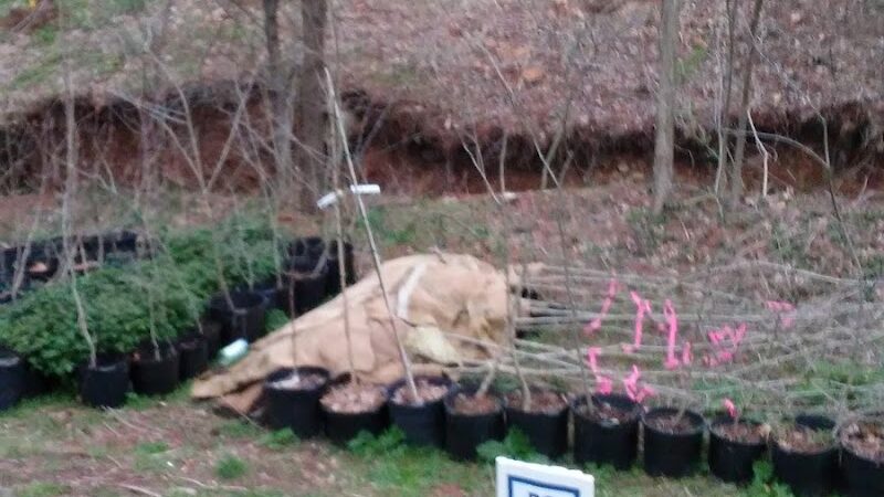 Lansdowne Merrick Park - Lexington, KY