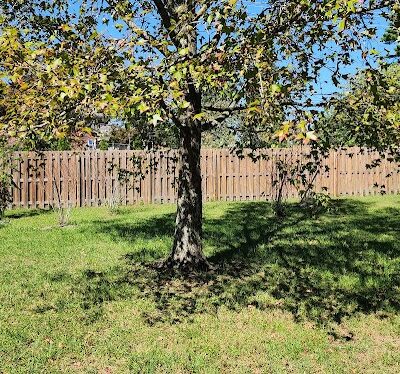 Lansdowne Merrick Park - Lexington, KY