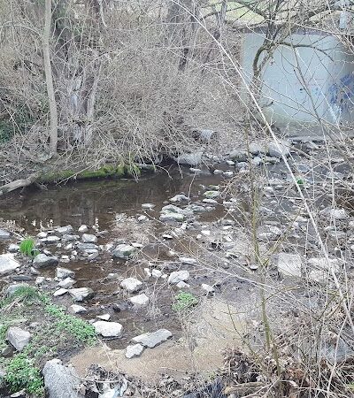 Lansdowne Merrick Park - Lexington, KY