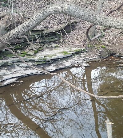 Lansdowne Merrick Park - Lexington, KY