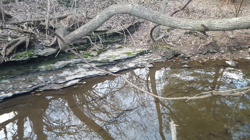 Lansdowne Merrick Park - Lexington, KY