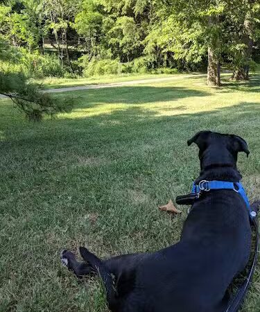 Lansdowne Merrick Park - Lexington, KY