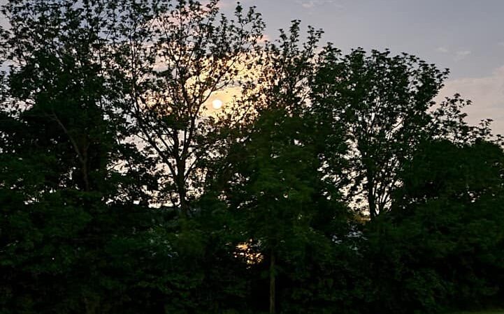 Masterson Hills Park - Lexington, KY