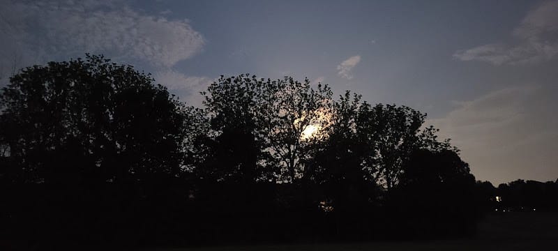 Masterson Hills Park - Lexington, KY