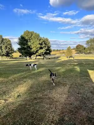 Masterson Station Park - Lexington, KY