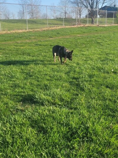 Masterson Station Park - Lexington, KY
