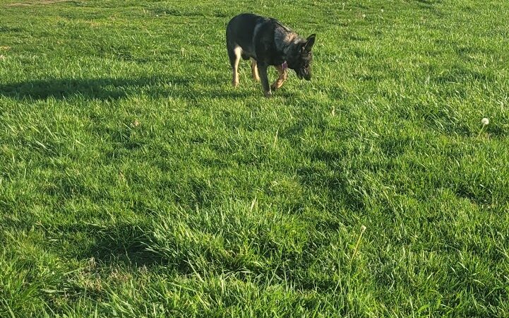 Masterson Station Park - Lexington, KY