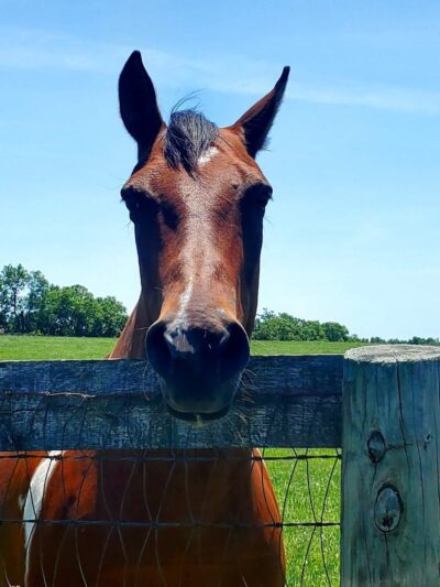 Masterson Station Park - Lexington, KY
