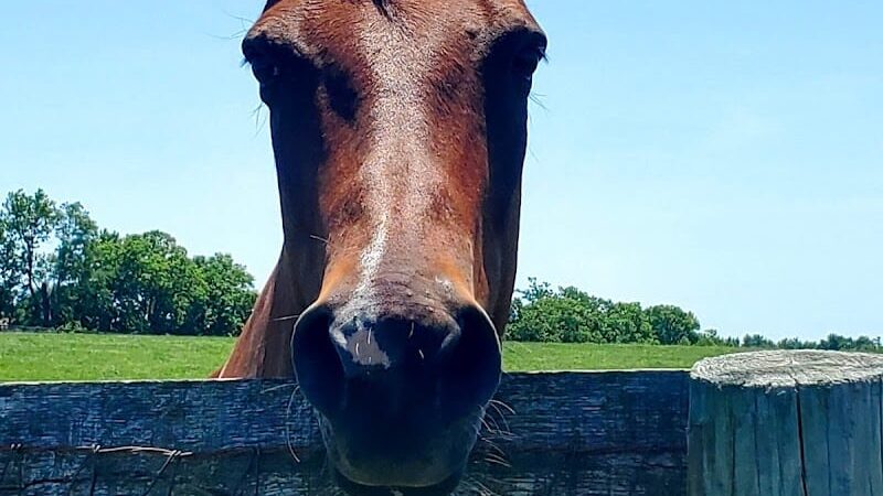 Masterson Station Park - Lexington, KY