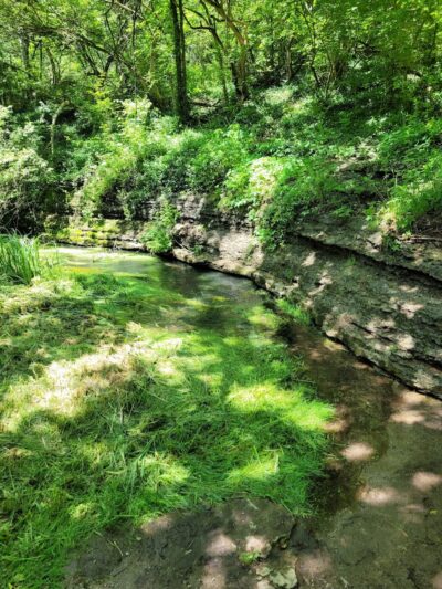 McConnell Springs Park - Lexington, KY