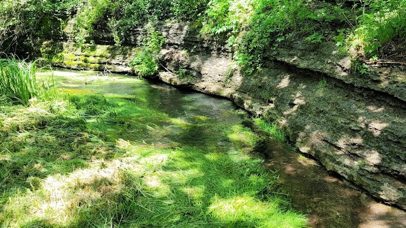 McConnell Springs Park - Lexington, KY