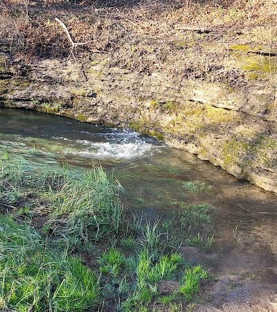 McConnell Springs Park - Lexington, KY