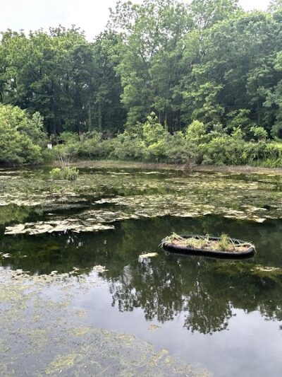McConnell Springs Park - Lexington, KY