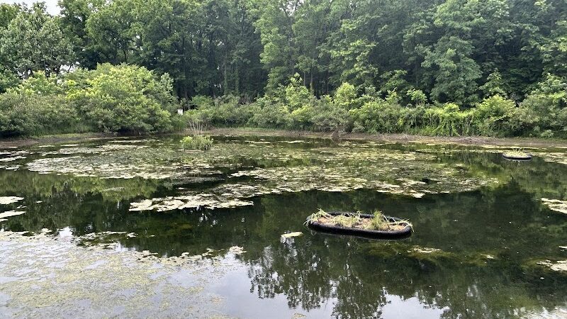 McConnell Springs Park - Lexington, KY