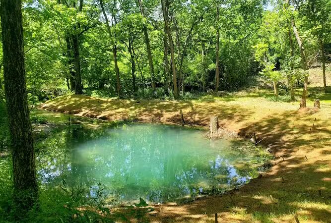McConnell Springs Park - Lexington, KY