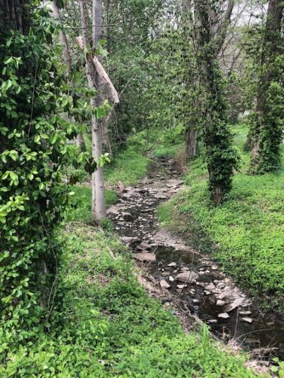 Meadowbrook Park - Lexington, KY