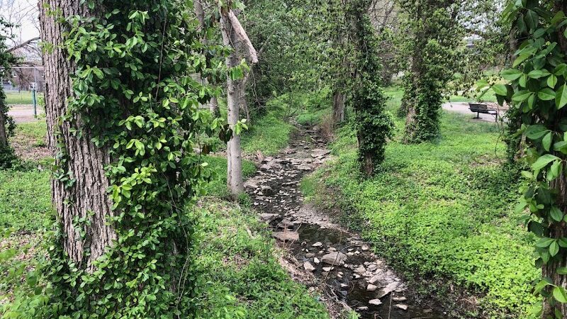 Meadowbrook Park - Lexington, KY