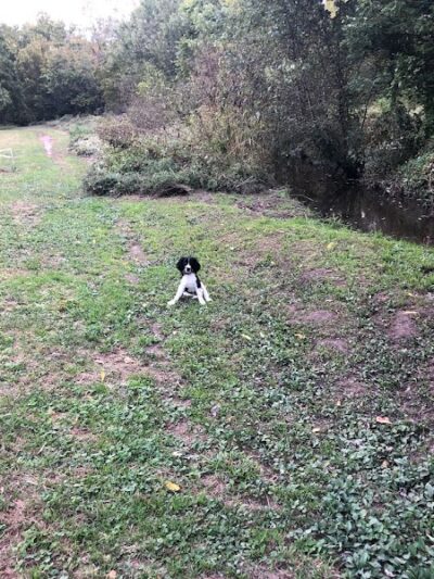 Meadowbrook Park - Lexington, KY