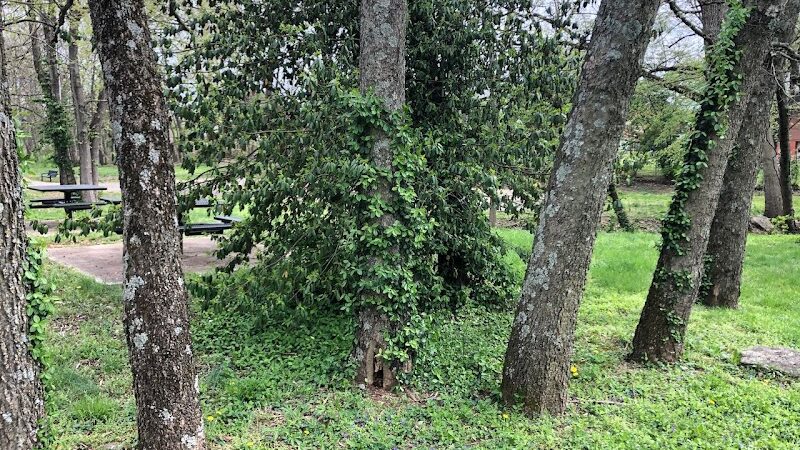 Meadowbrook Park - Lexington, KY