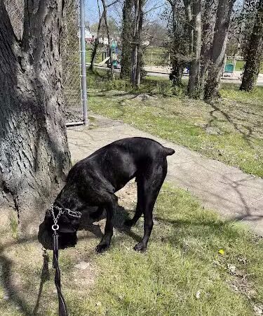 Meadowbrook Park - Lexington, KY