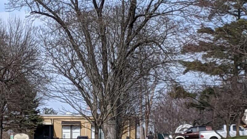 Meadowthorpe Park - Lexington, KY