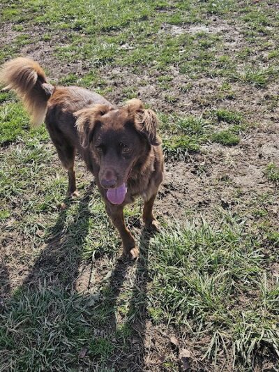 Pleasant Ridge Park - Lexington, KY