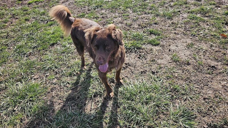 Pleasant Ridge Park - Lexington, KY