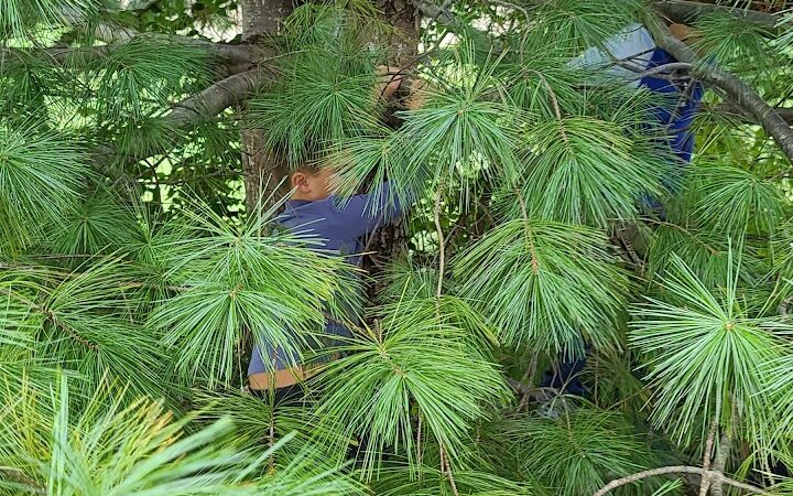 Pleasant Ridge Park - Lexington, KY