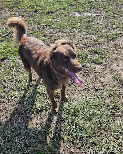 Pleasant Ridge Park - Lexington, KY