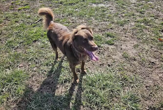 Pleasant Ridge Park - Lexington, KY