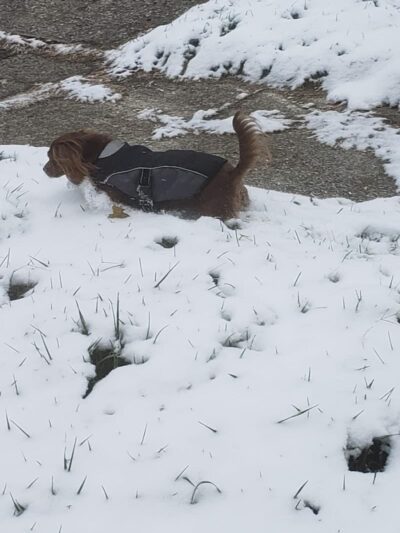 River Hill Park - Lexington, KY