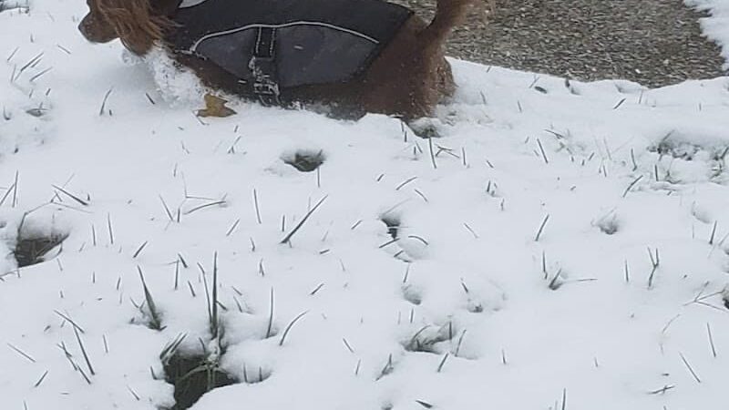 River Hill Park - Lexington, KY