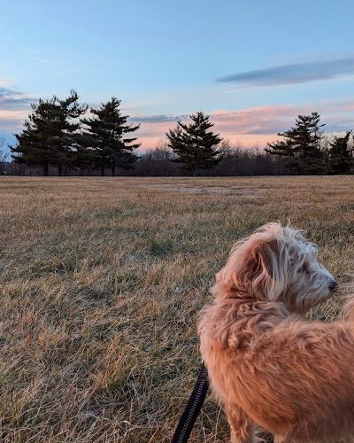 Shillito Park - Lexington, KY