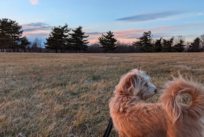 Shillito Park - Lexington, KY