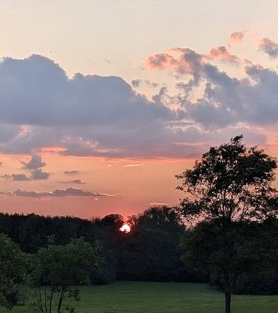 Shillito Park - Lexington, KY