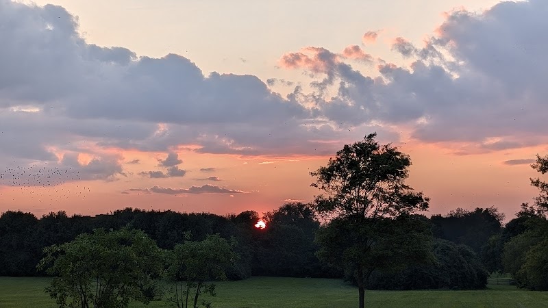 Shillito Park - Lexington, KY