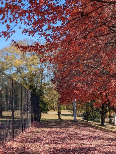 Shillito Park - Lexington, KY