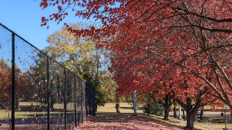 Shillito Park - Lexington, KY