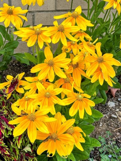 Southcreek Park - Lexington, KY