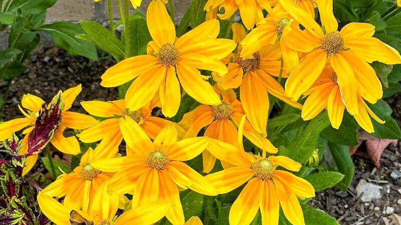 Southcreek Park - Lexington, KY