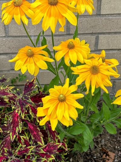 Southcreek Park - Lexington, KY