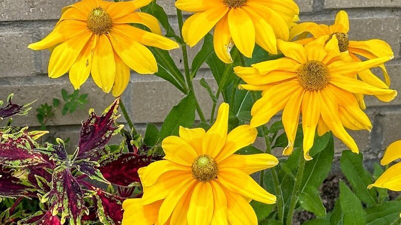 Southcreek Park - Lexington, KY