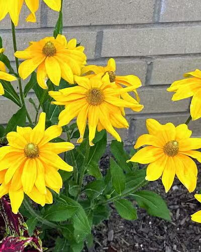 Southcreek Park - Lexington, KY