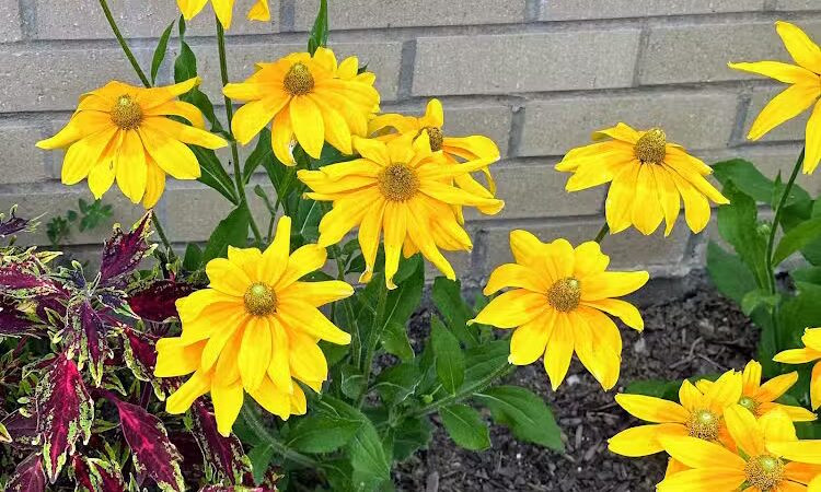 Southcreek Park - Lexington, KY