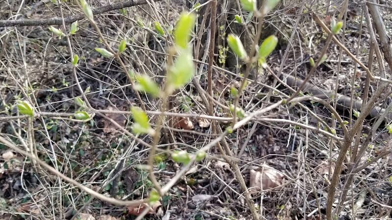 Southpoint Park - Lexington, KY